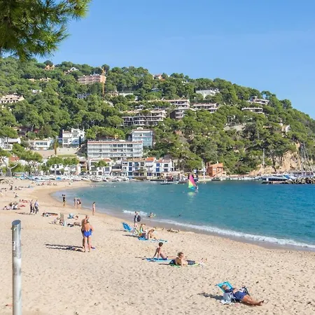 Pins Mar 14 Calella De Palafrugell